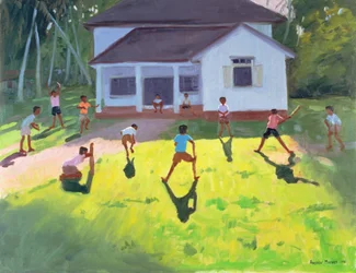 Cricket, Sri Lanka